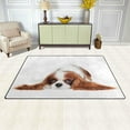 thumbnail image 3 of Coolnut Area Rug 60 x 39 inch (5'x 3'3"), Carpet Cavalier King Charles Spaniel Dog Nursery Rug Floor Mat for Hardwood Floor Entrance Living Room Bedroom, 3 of 6