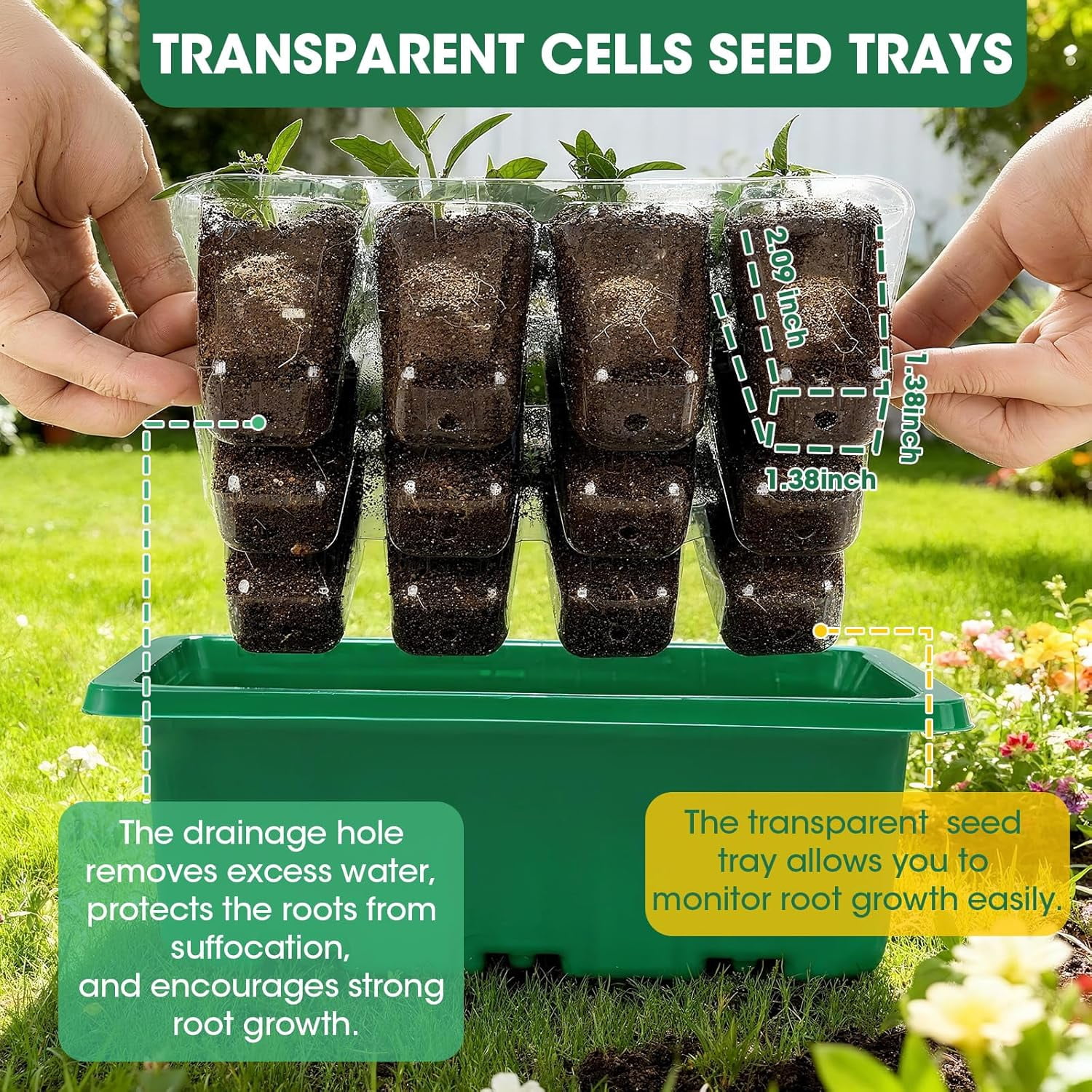 Seed Starter Tray with Humidity Dome, Seed Starter Kit with Transparent Drain Hole Base Indoor Greenhouse Propagator for Seeds Growing
