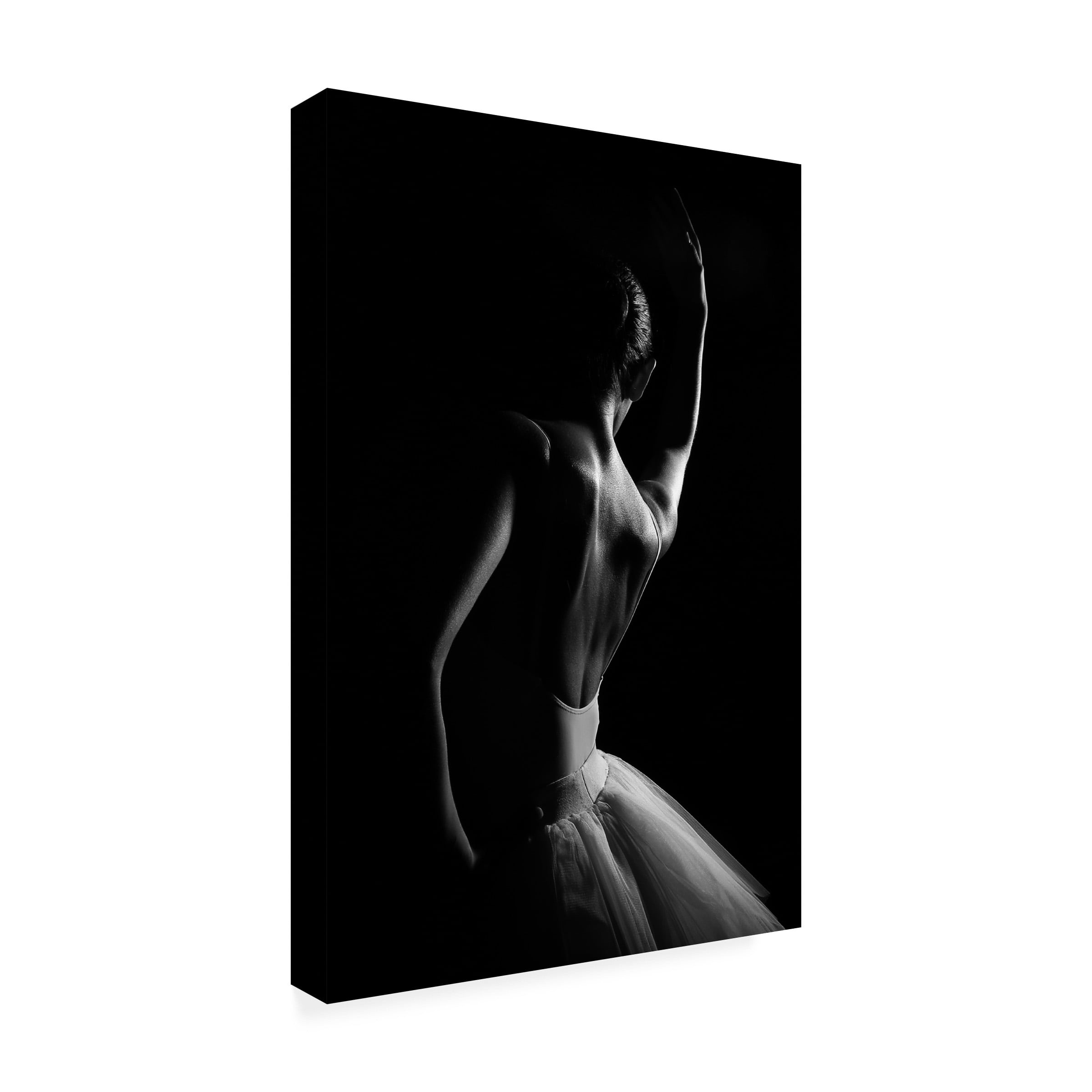 Paulo Medeiros 'The Dancer' Canvas Art