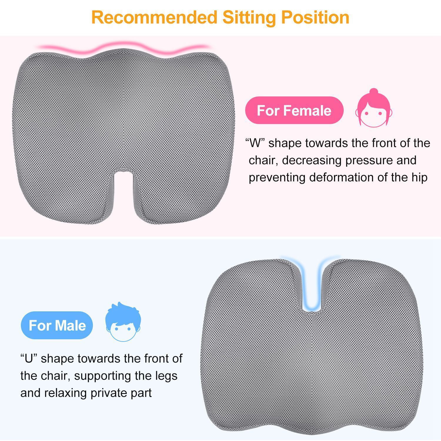  LAMPPE Coccyx Pain Relief Cushion, Siaticease Seat Cushion  Washable Ergonomic, Foam Cushion Pads for Tailbone Pain,Back Pain  Relief,A-Blue : Everything Else