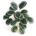 thumbnail image 3 of YAOMOBB Fake Leaves Realistic Simulation Plant Artificial Monstera Leaves for Wedding Decoration, 3 of 6