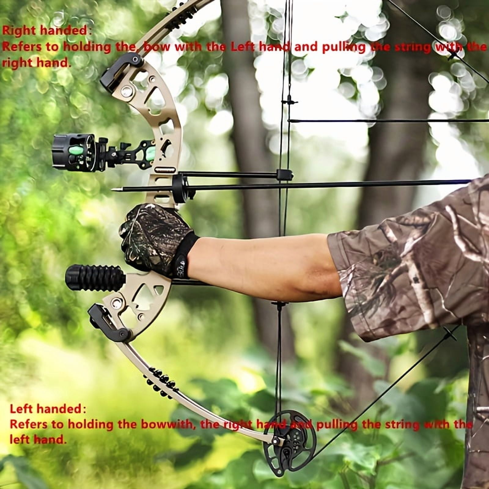 30-55lbs Compound Bow Carbon Arrows Kit Archery Hunting Adult Target Shooting
