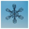 thumbnail image 1 of Flocon de Neige Vu au Microscope-Papier Art-32"x32", 1 of 1
