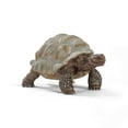 thumbnail image 1 of Schleich Giant Tortoise Wild Life Action Figure, 1 of 4