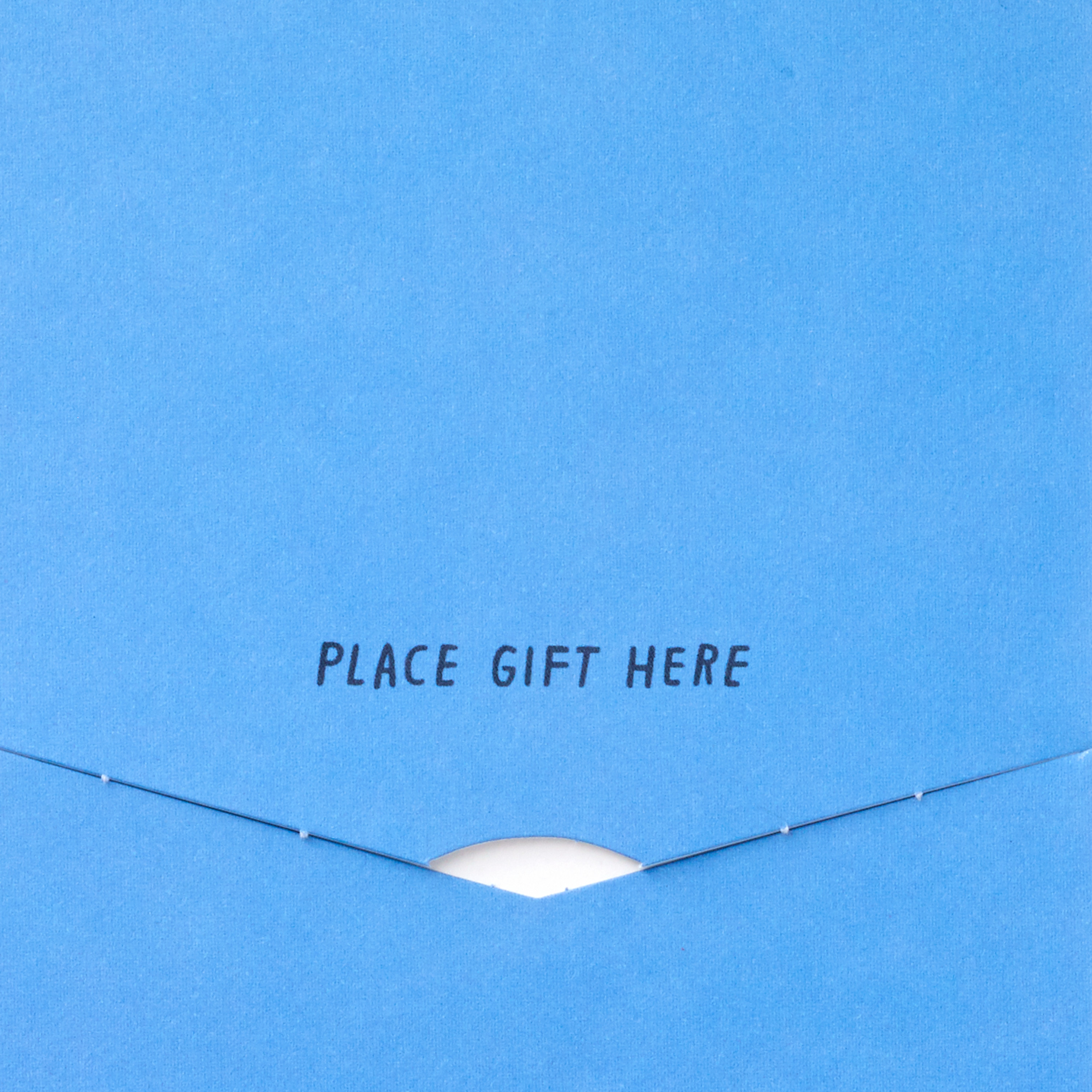 Hallmark Shoebox Funny Blue Paper Money Holder Graduation Card (a Few Bucks)
