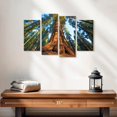 thumbnail image 2 of Elephant Stock Lofty Sequoia Tree Wall Art - Horizontal Multi Panel Canvas - Living Room Wall Decor - Floral And Botanical Multi Panel - Brown And Orange Decor - 24" x 14", 2 of 4