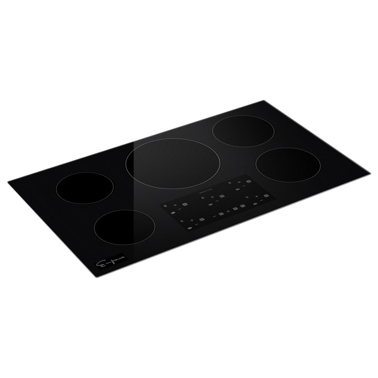 Empava Portable 13-in 2 Elements Black Induction Cooktop in the Induction  Cooktops department at