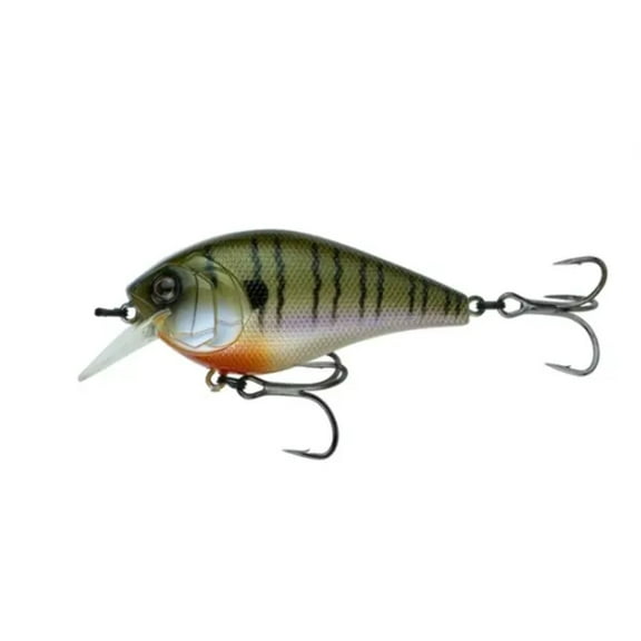 6th Sense Crush 100X