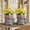 Pink, variant on The Growing Ground 2 pack Turtle Planter with Drainage Hole, Indoor Outdoor Cute Decorative Plant Pots, Desk, Garden, Gift for Plant Lovers, Brown