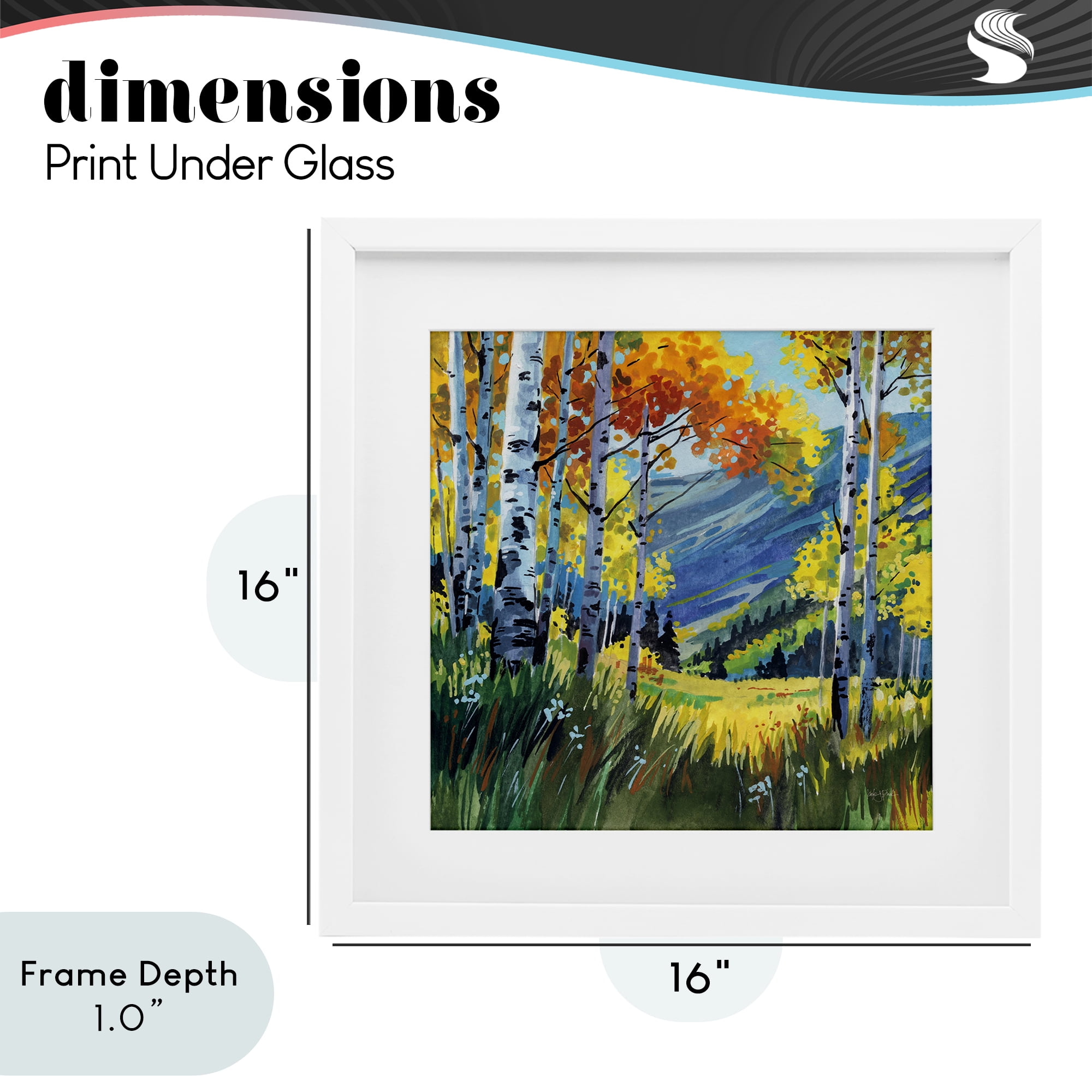 Stupell Industries Autumn Golden Birch Grove White Framed Print Under Glass, design by Kate Jarvik Birch