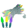 thumbnail image 2 of Novelty Lights Yellow/Purple/Green True Twinkle (100% Twinkle) C6 LED Mardi Gras String Lights 70 Strawberry Bulbs (Black Wire, 24 Feet), 2 of 8