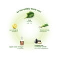 thumbnail image 4 of Vibe Croustilles de Chou Frisé Véganes Crème Sure et Oignons Verts, 4 of 5