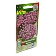 thumbnail image 3 of Semillas Panalillo Alyssum Víta Violeta 0.3 Gr, 3 of 3