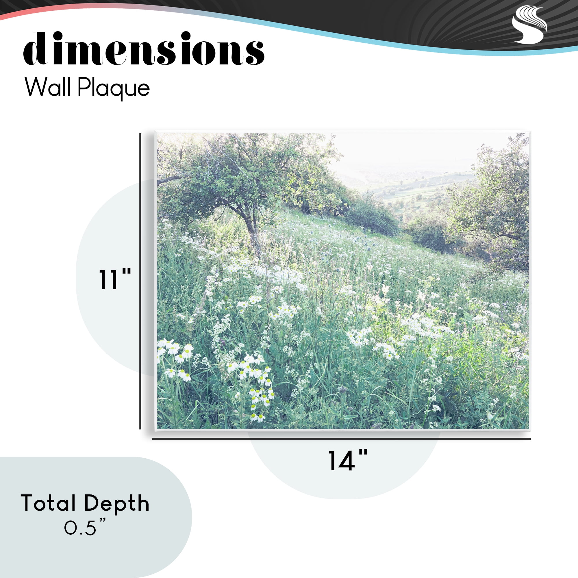 Stupell Industries Sunny Daisies in Meadow Wall Plaque Art, design by Leah Straatsma