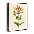 thumbnail image 2 of Stupell Industries Cottage Honeysuckle Vintage Illustration Black Framed Giclee Art, 11 x 14, by Connie Resch, 2 of 8