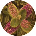 thumbnail image 1 of Ahgly Tapis Rond Lavable en Machine Intérieur Transitionnel Bisque Foncé Marron, 7 Pieds Rond, 1 of 7