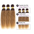 thumbnail image 4 of Hair Bundles Hiaplame Ombre, marrón oscuro, T4/27, rubio, 20-24 pulgadas, 4 of 8