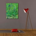 thumbnail image 4 of Epic Graffiti 'Iris' by Vincent Van Gogh, Giclee Canvas Wall Art, 26"x34", 4 of 8