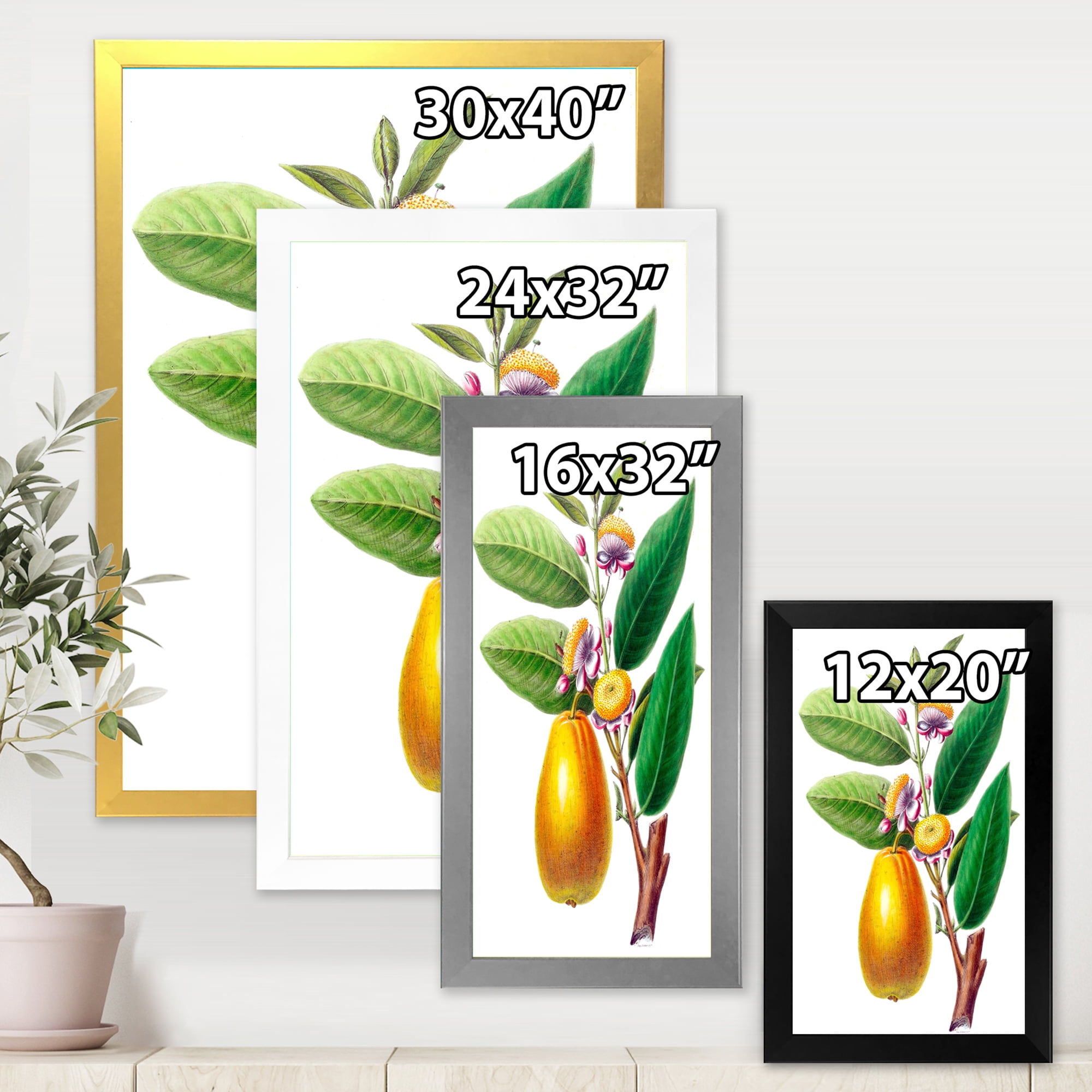 Designart 'Ancient Fruits I' Farmhouse Framed Art Print