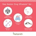 Herbsmith Senior Dog Wisdom YPF5 Dog Dementia Supplement DHA for