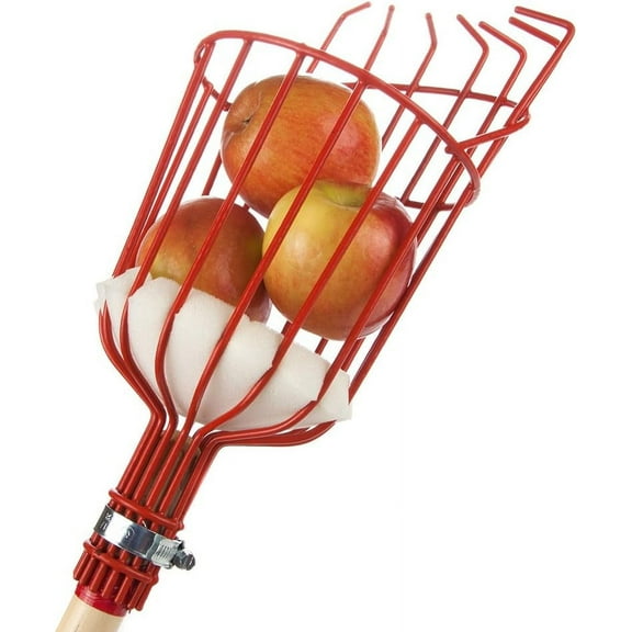 Fruit Picker Harvester Basket with Cushion to Prevent Bruising (Pole not Included)