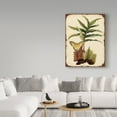 thumbnail image 3 of Trademark Fine Art 'Ferns On Vintage Tin' Canvas Art by Jean Plout, 3 of 3