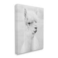 thumbnail image 3 of Stupell Monochrome Alpaca Farm Animal Animals & Insects Photography Gallery Wrapped Canvas Print Wall Art, 3 of 5