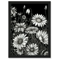 Daisy Flower Field Black and White Illustration Artwork Framed Wall Art Print A4