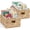 Natural with White Trim, variant on Best Choice Products 16x12 Scalloped Shelf Baskets, Woven Storage Bins, 2 Pack - Natural with White Trim