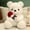 9.1"White, variant on 9.1" Valentines Day Stuffed Animals Teddy Bear with Rose, Large Rose Bear Valentines Day Gift Plush Toy Cartoon Cuddly Doll Birthday Party Holiday Wedding Decor Gift Stuffed Animals