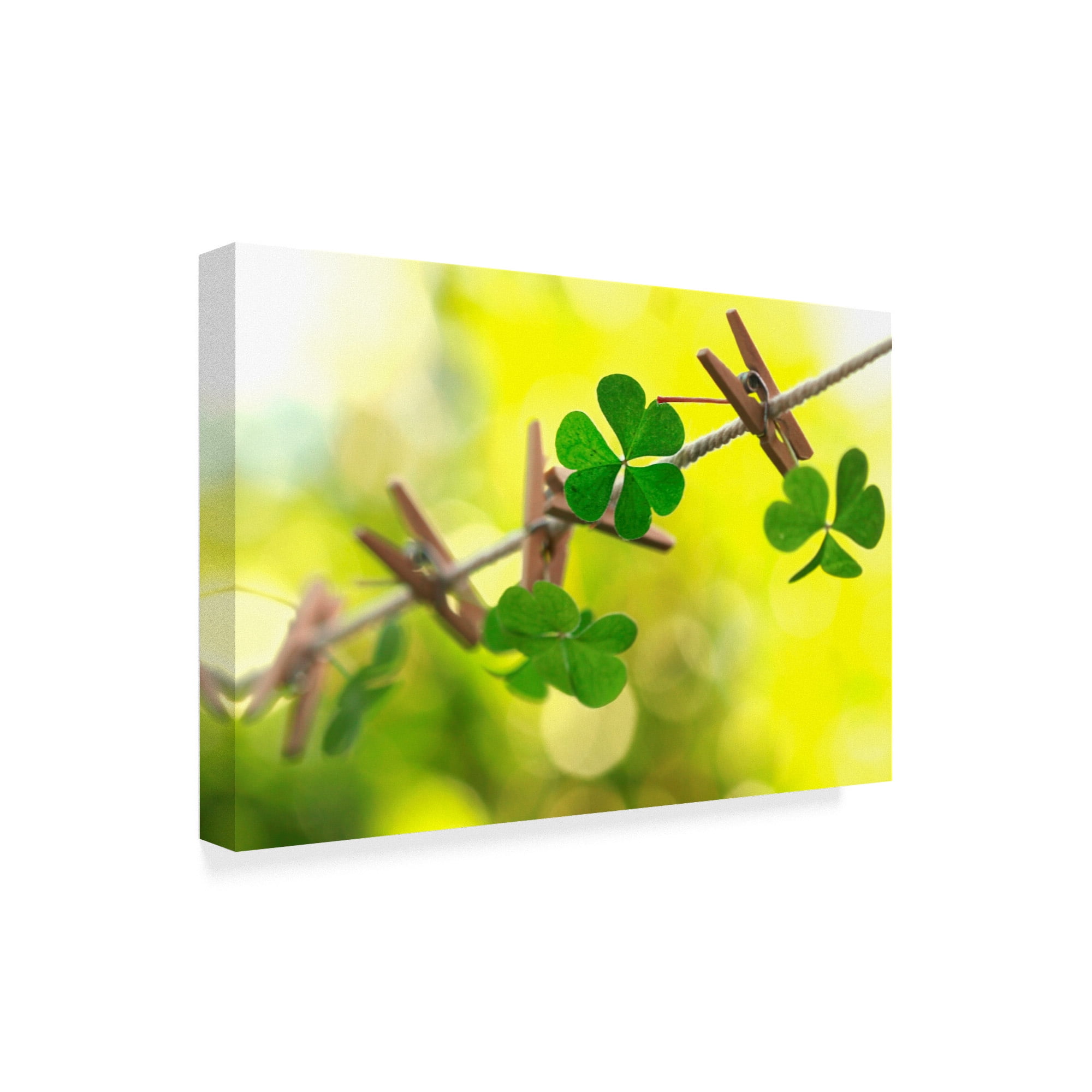 Trademark Fine Art 'Good Luck For The Future' Canvas Art by Incredi