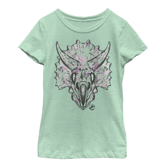 Girl's Jurassic World: Fallen Kingdom Artistic Triceratops Graphic Tee Mint Large