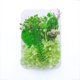 thumbnail image 1 of Matsuzay Plantas de flores secas Fabricación en seco para funda de teléfono móvil Artesanía DIY Decoración de boda hecha a mano Collar de epoxi Artesanía tipo8 Matsuzay HA084403-08, 1 of 6