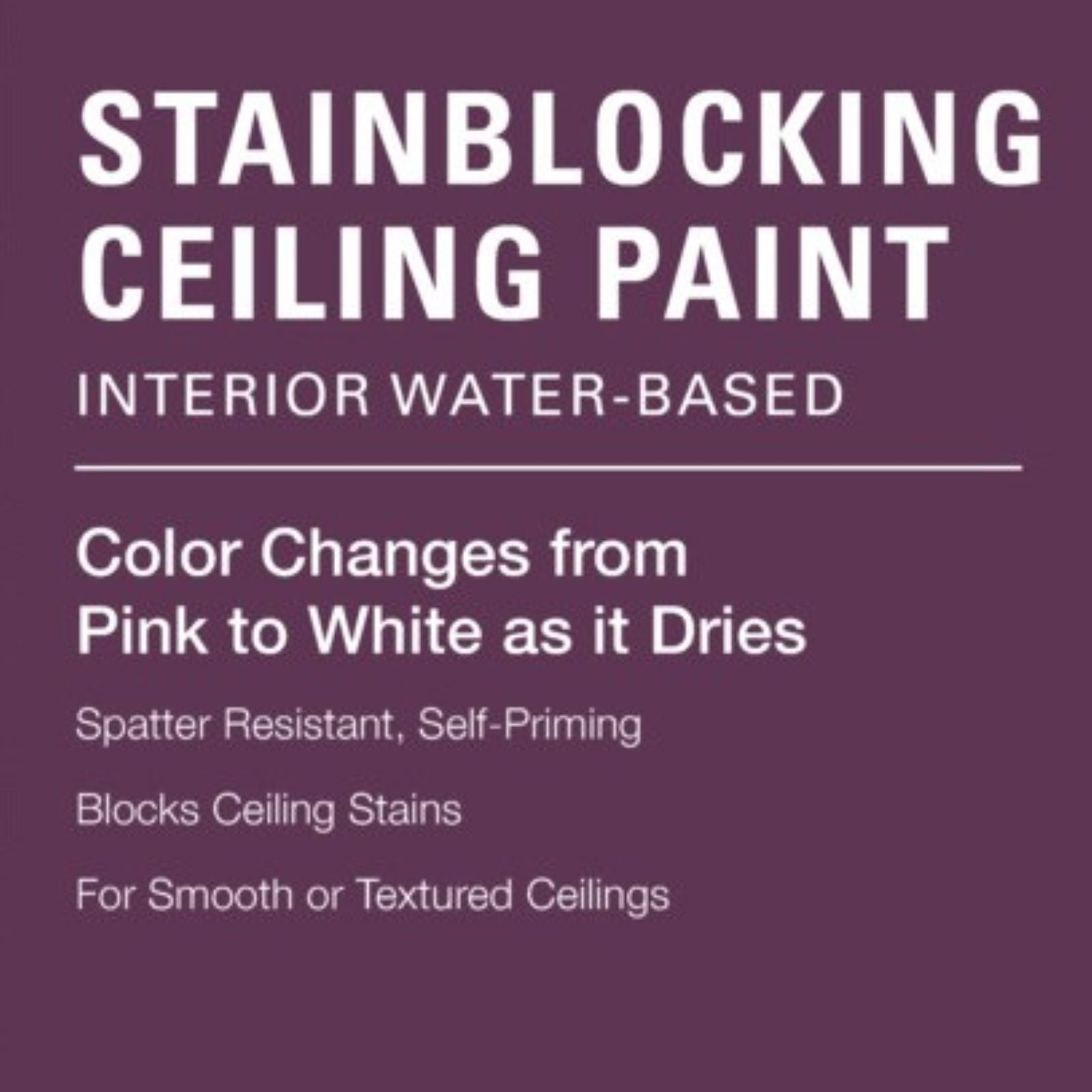 KILZ Interior Stainblocking Ceiling Paint, White, 1 Gallon