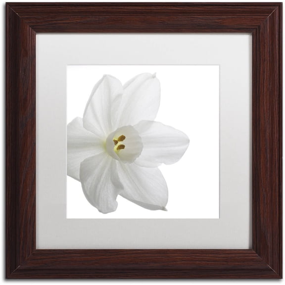 "Paper White" Canvas Art by Kurt Shaffer White Mat, Wood Frame