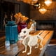 thumbnail image 4 of Decoraciones de Halloween de Pájaro Esqueleto - Esqueletos de Animales Articulados Posibles Esqueletos con Articulaciones Articuladas Decoración de Halloween, 4 of 5