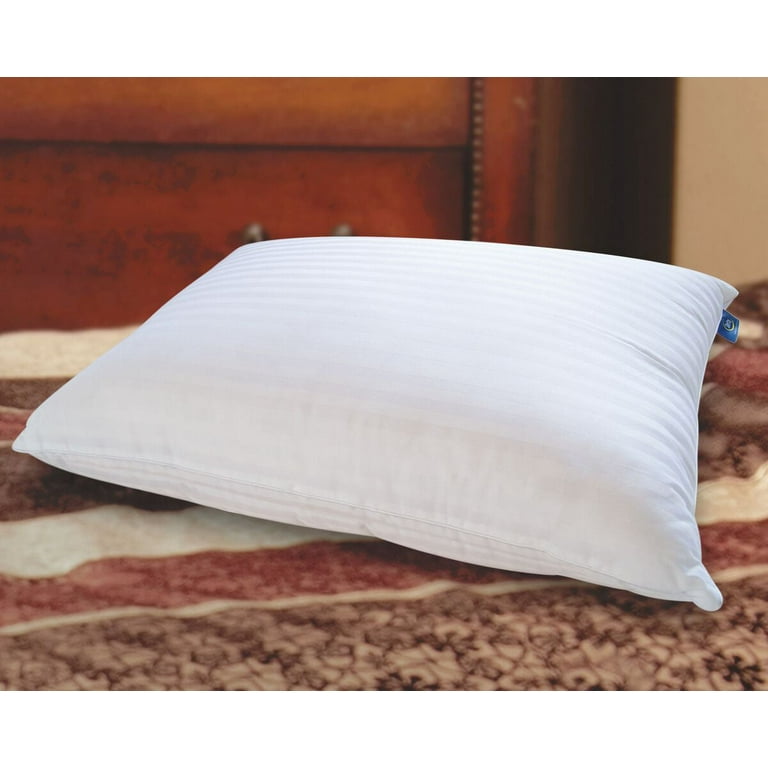 100% Pure Micro Fiber Hotel Comfort Pillow, Size/Dimension: 27x17x4 at  best price in Sahibabad