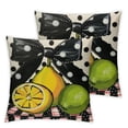 thumbnail image 2 of Awypu Summer Lemon Pillow Covers Set of 2 Farmhouse Dots Outdoor Decorative Cushion Cases for Sofa Couch Home Decorations Black White, 2 of 6