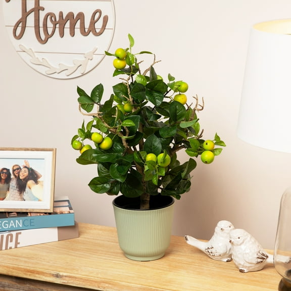 Northlight 1.9' Unlit Artificial Potted Bonsai-Style Green Apple Tree