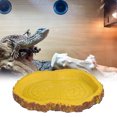 thumbnail image 4 of Lavabo de comida de lagarto simulación de lavabo de comida de reptil decorativo respetuoso con el medio ambiente para acuario para zoológico para tanque de agua para el hogar LHCER Otros, 4 of 8