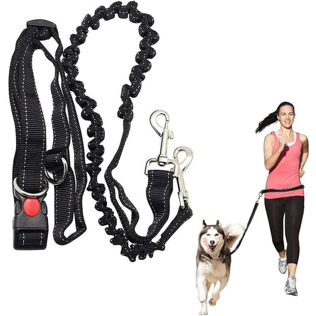 Laisse pour Chien Mains Libres Absorbant les Chocs Ceinture Extensible Réglable pour Course Jogging Ou Marche-Sunny