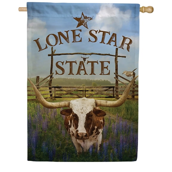America Forever Texas State House Flag- 28 x 40 inches- Texas Longhorn in Blue Bonnets USA Regional Yard Outdoor Decorative Double Sided Flag