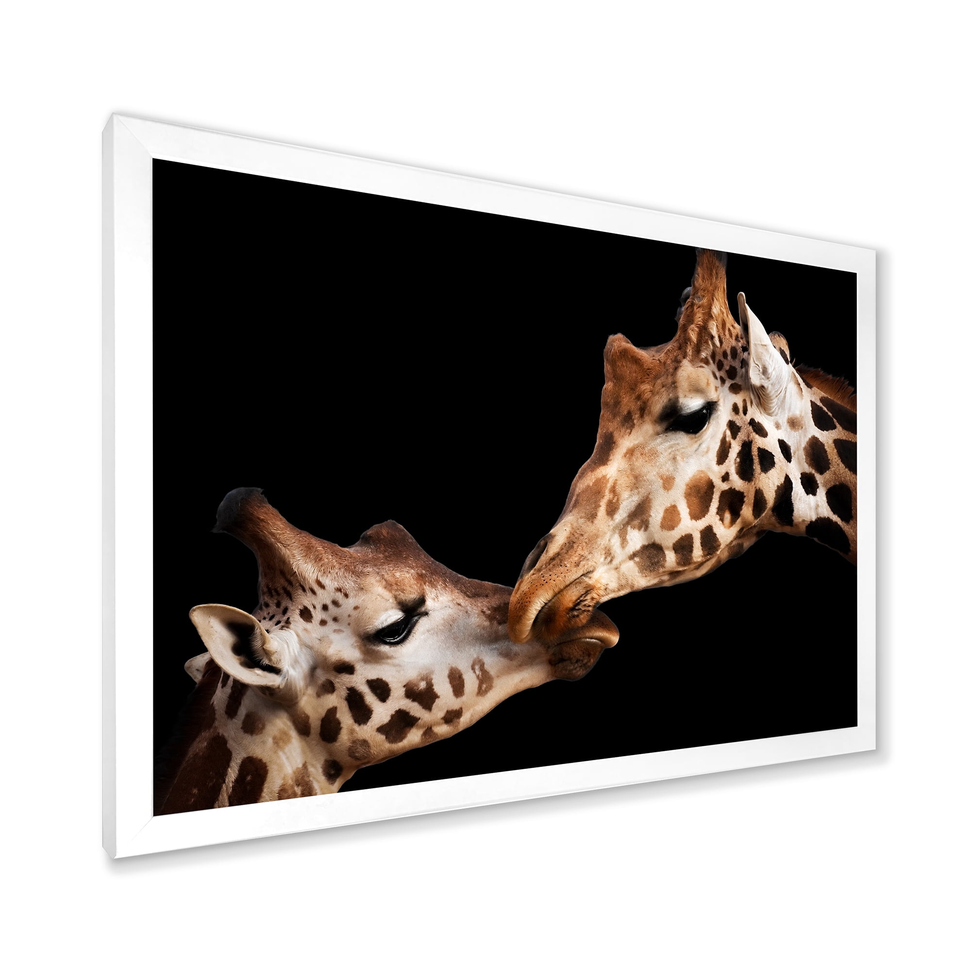 Designart 'Close UP Of Two Giraffes Kissing II' Farmhouse Framed Art Print