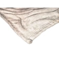 thumbnail image 2 of Warner Bros Game Of Thrones Mother Of Dragons Kids Silk Touch Throw Blanket, 2 of 5