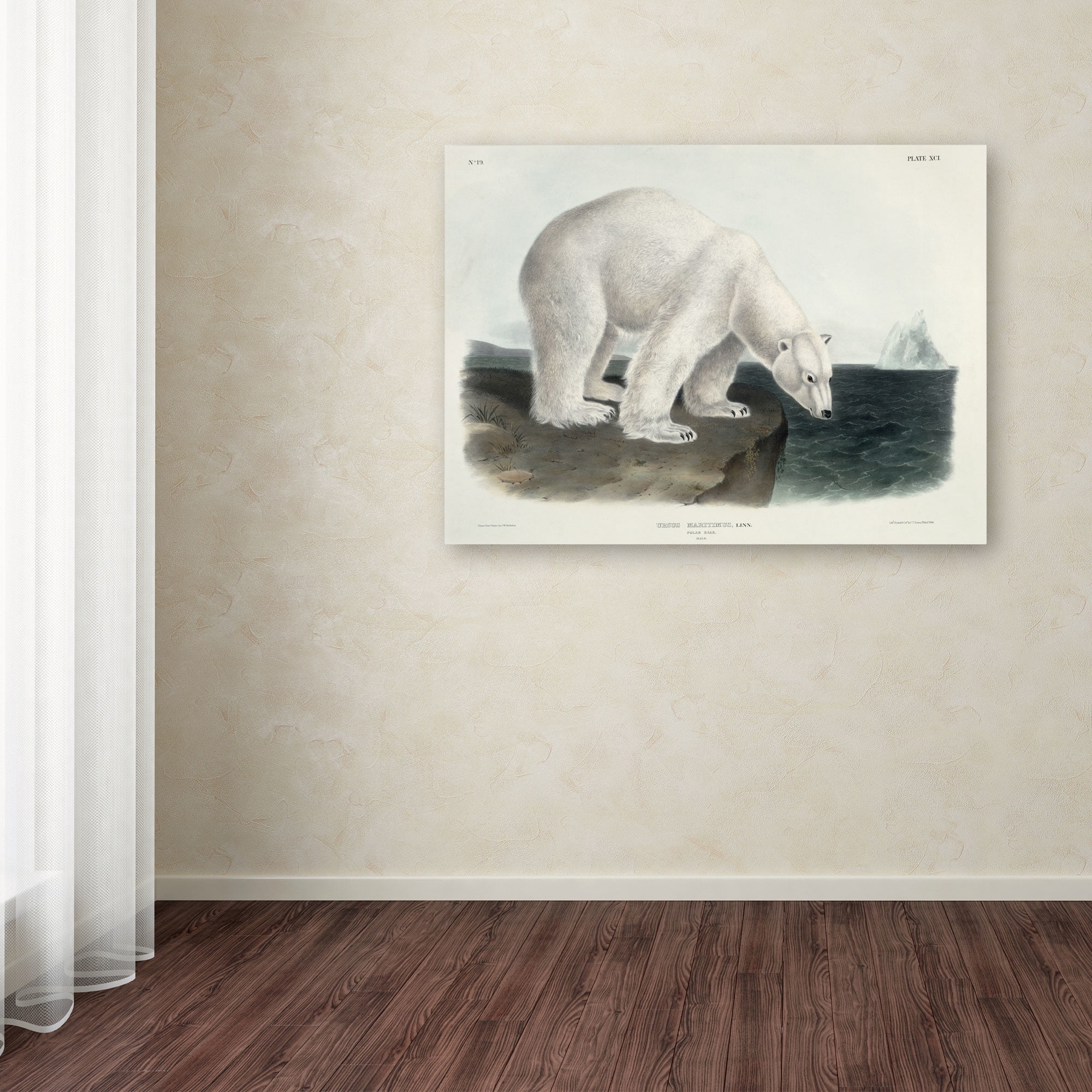 Trademark Fine Art "Ursus Maritimus Polar Bear" Canvas Art by John James Audubon