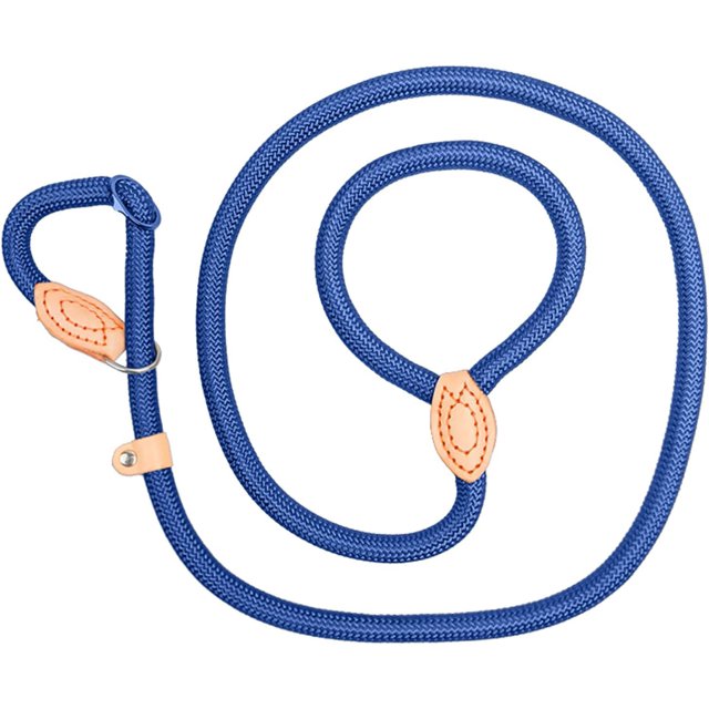 Dog Leash Slip Leash Harnesses Rope Long Pet Strong Training Walking Swimming Hiking