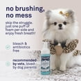 thumbnail image 4 of Petpost | Fresh Breath Foam for Dogs - Mint & Apple Flavored Dental Solution that Kills Bad Breath - Natural Tooth Cleaning Treatment, 4 of 8