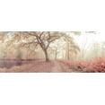thumbnail image 2 of Frank, Assaf 32x15 White Modern Wood Framed Museum Art Print Titled - Misty forest, 2 of 4