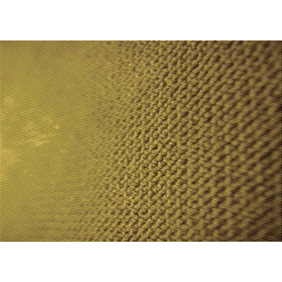 Ahgly Company Machine Washable Indoor Rectangle Transitional Dark Bronze Brown Area Rugs, 2' x 5'