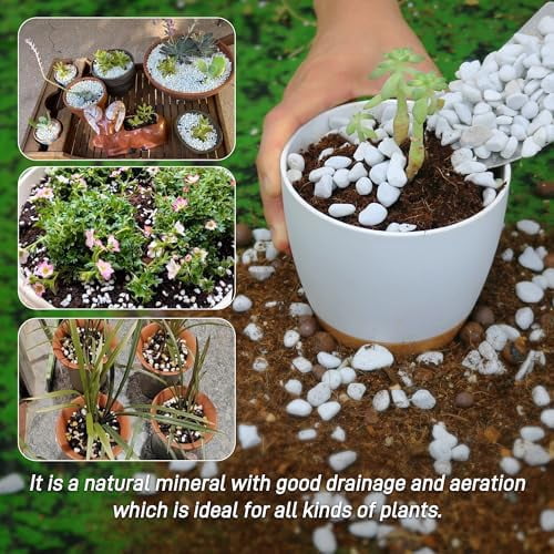 9 Quarts Chunky Perlite for Plant Soil Amendment for Potting Soil, Improves Drainage and Aeration for Soil, Ideal for Succulents, Orchid, Flower Plants (1/4 inch)